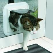 Cat flaps installed Leicester
